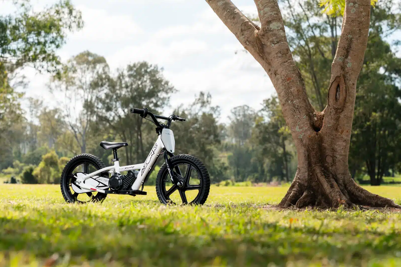 AZONIC PURE 12 24V ELECTRIC BALANCE BIKE | 24V 150W 9 AZONIC PURE 12 24V ELECTRIC BALANCE BIKE | 24V 150W - Image 9